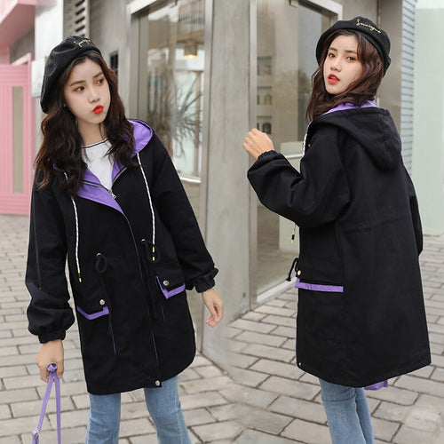 Cheap wholesale 2019 new autumn winter Hot selling women's fashion casual  Ladies work wear nice Jacket FP728