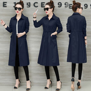 BB212  Cheap wholesale 2019 new autumn winter Hot selling women's fashion casual  Ladies work wear nice Jacket